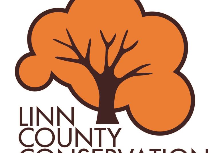 Linn-News - Staff Photo - Create Article