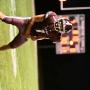 Photo credit: Addison Gericke