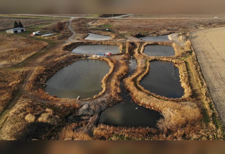 Photos Courtesy of Bickal Koi Farm
