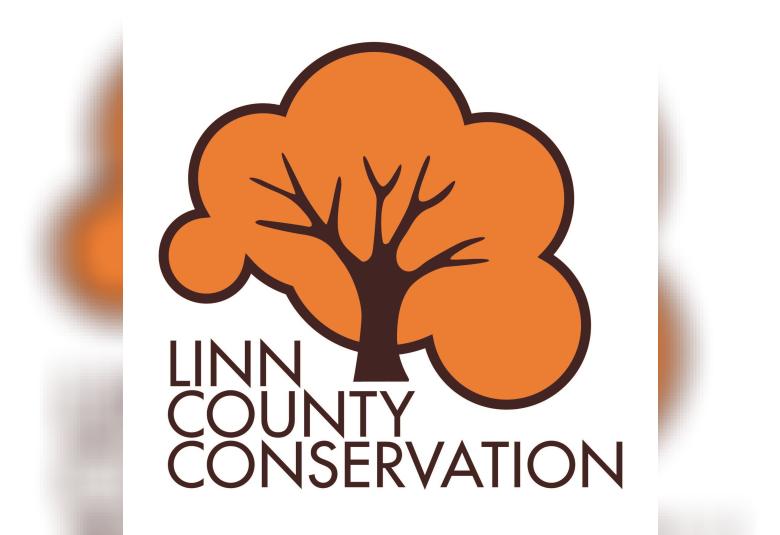 Linn-News - Staff Photo - Create Article